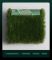 Carpet & Flooring - Grass